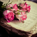 Flower.Book Discord Server Logo
