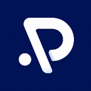 Pro System Support Discord Server Logo