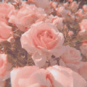 🌸 rosey ❀˖° Discord Server Logo