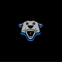 Force Advertising🌐📈 Discord Server Logo