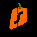 Surfshark Community Discord Server Logo