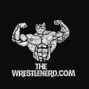 THEWRESTLENERD.COM Discord Server Logo