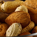Nuts Discord Server Logo