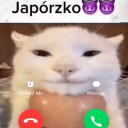 japorzko Discord Server Logo