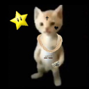 catcord Discord Server Logo