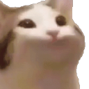 (∩^o^)⊃━☆ Team Empanada ლ(╹◡╹ლ) Discord Server Logo