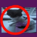 𝗡𝗔𝗔 Discord Server Logo