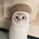 what kind of cat is this 👈 [[ NICHE ]] Discord Server Logo