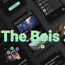 The Bois 2 Discord Server Logo