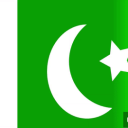 Pakistan Games Discord Server Logo