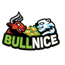 BullNice Discord Server Logo