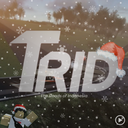 TRID Studios Discord Server Logo