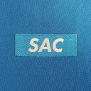 🇨🇳🇸🇪Svenska Agent Communityn Discord Server Logo