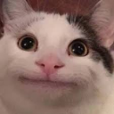 Kurt's Hangout (BELUGA FAN CLUB) Discord Server Logo