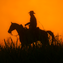 Red Dead Redemption FR Discord Server Logo
