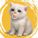Baby Cash Cat Discord Server Logo