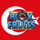 Blox Fruits Turkiye Discord Server Logo