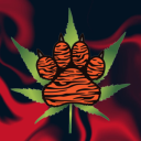 Stoned Tigers 🐯 Discord Server Logo