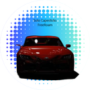 Capesticks FreeRoam FiveM Discord Server Logo
