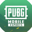 PUBG MOBILE ESPORTS Discord Server Logo