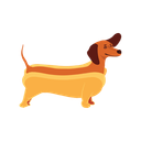 Hot Dogz Discord Server Logo