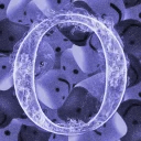 Oofers Community (Old) Discord Server Logo