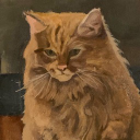daily cat photos Discord Server Logo
