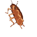Twoja Stara Discord Server Logo