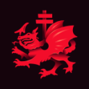 DRAGON SOCIETY Discord Server Logo