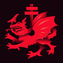 DRAGON SOCIETY Discord Server Logo