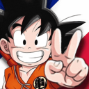 Dragon Ball FR Discord Server Logo