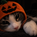 🎃 Chillied Discord Server Logo