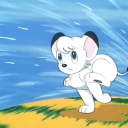 🤍  Kimba the White Lion Fan Club 🖤 Discord Server Logo