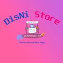 𝘿𝙞𝙨𝙉𝙞 𝙎𝙩𝙤𝙧𝙚 Discord Server Logo
