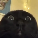 Epic Gamers Discord Server Logo