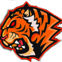 WILD MINDS Official Discord™ Discord Server Logo