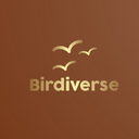 Birdiverse Discord Server Logo