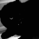 gatito ♱ social Discord Server Logo