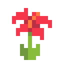 Team Hibiscus Discord Server Logo