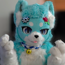 Cat Collective Discord Server Logo