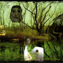 skum's pond Discord Server Logo