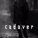 ⠂ ⠂✦ /cadaver ✦ ⠂ ⠂ Discord Server Logo