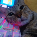 |l • Cat friends • || 💕 Discord Server Logo