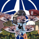 we are NAFO Discord Server Logo