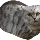 leave pls Discord Server Logo