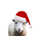 Money Methods Discord Server Logo