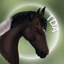 The Dressage Academy Discord Server Logo