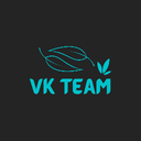 VҠ Community Discord Server Logo