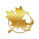 新楓之谷🍁楓界🍁 Discord Server Logo