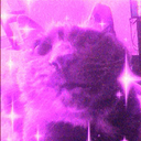pink summer tina&cleo world Discord Server Logo